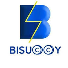 Bisuccy